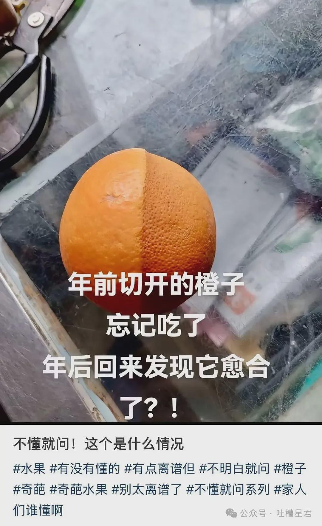 【爆笑】“迪迦和赛罗谁才是最受欢迎的奥特曼…？”哈哈哈奥特曼也有饭圈！ - 55