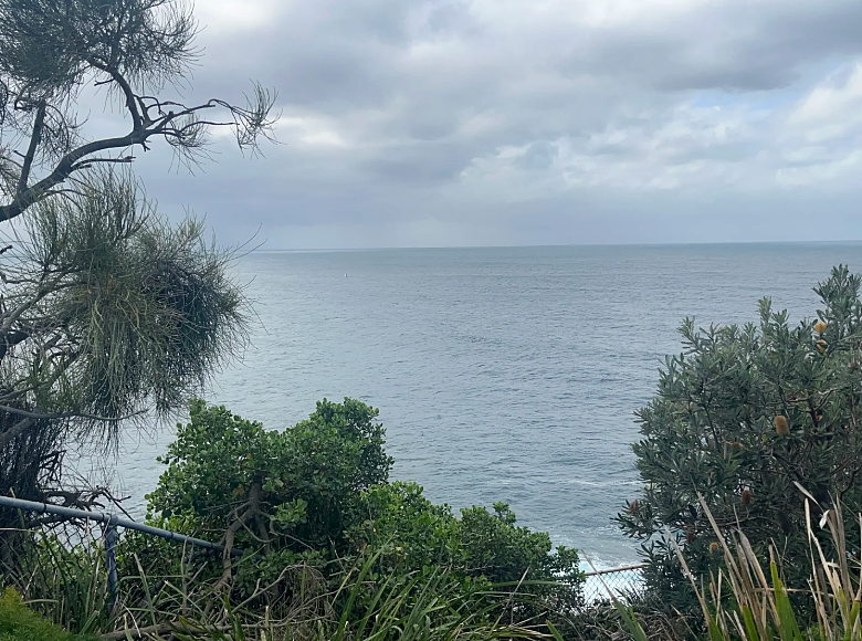独家原创: 中央海岸的Terrigal - 16