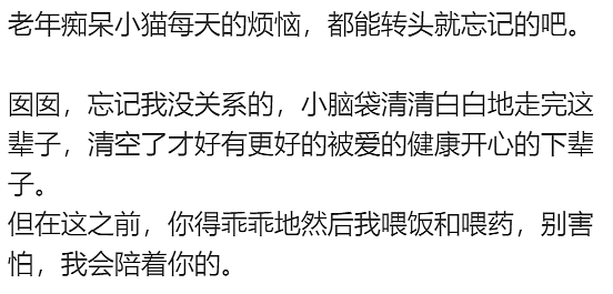 老年痴呆小猫总忘记主人,但每一次记忆重启都…咪:人,你相信一见钟情吗?(组图) - 11