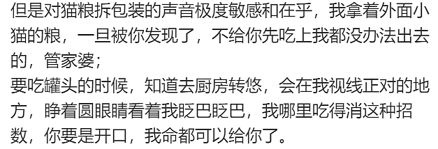 老年痴呆小猫总忘记主人,但每一次记忆重启都…咪:人,你相信一见钟情吗?(组图) - 8