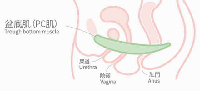 思路打开,性生活也能“邪修”!这2个方法,路子虽野,但真有用(组图) - 4