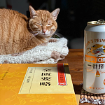 老年痴呆小猫总忘记主人，但每一次记忆重启都…咪：人，你相信一见钟情吗？（组图）