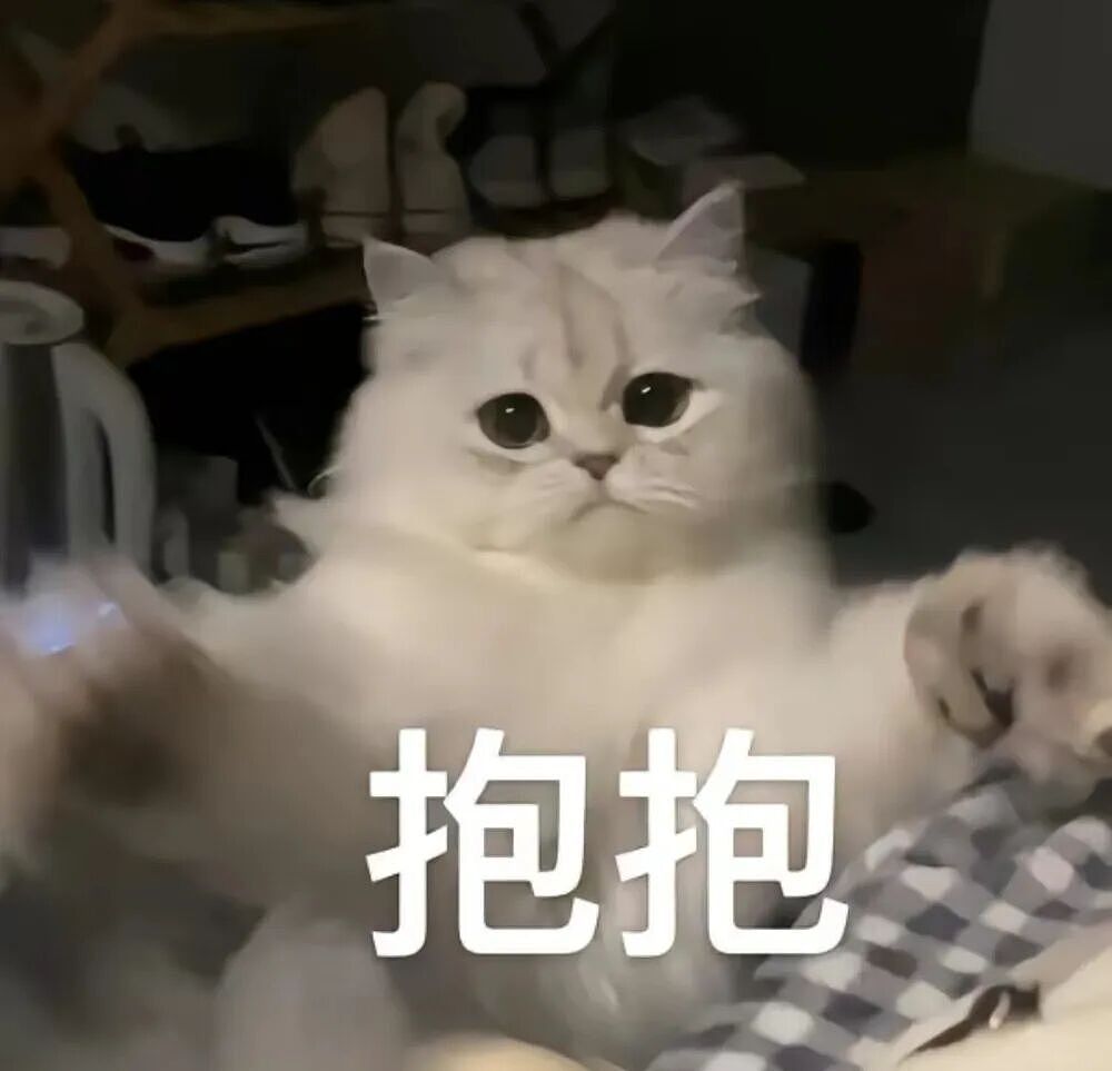 老年痴呆小猫总忘记主人,但每一次记忆重启都…咪:人,你相信一见钟情吗?(组图) - 1