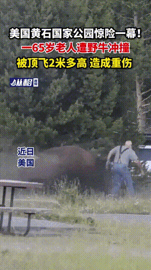 男子久坐办公腰痛2天，竟大小便失禁（组图） - 7