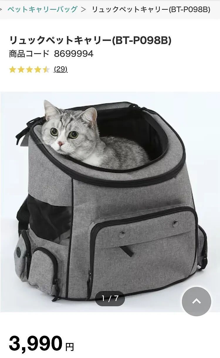 给猫买了一个猫包，说是承重8kg，结果…你在逗我？（组图） - 1