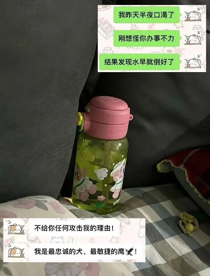 【趣闻】原来真的有人能被爱到这种程度！（组图） - 4