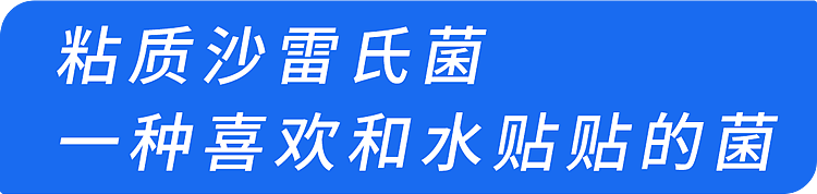 马上停止用这3种水杯，小心热水进“毒水”出！你可能也正在用（组图） - 2