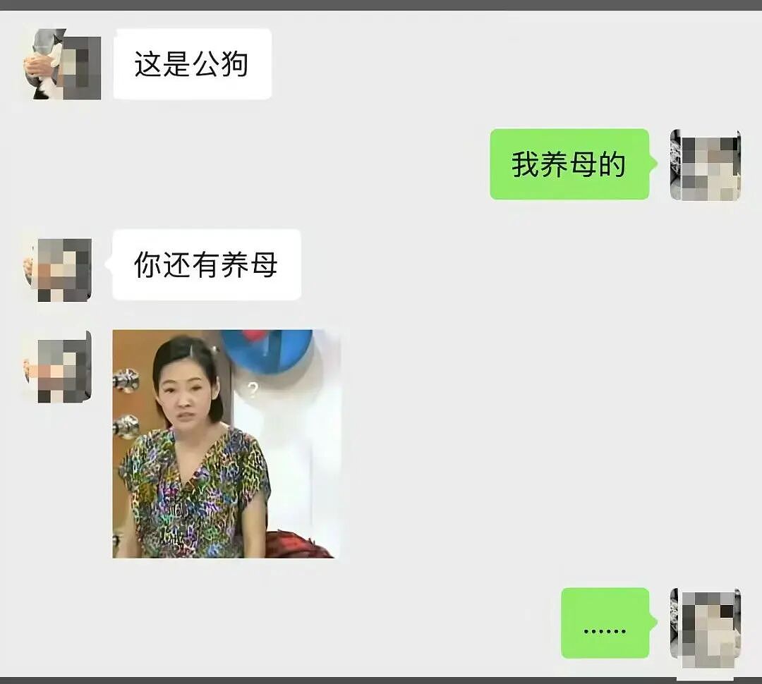 【爆笑】“迪迦和赛罗谁才是最受欢迎的奥特曼…？”哈哈哈奥特曼也有饭圈！（组图） - 90