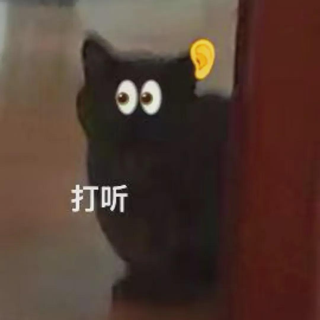 【宠物】主人给21斤大胖猫减肥,4个月后主人瘦了20斤!猫却没变化....医生都懵了:到底谁在减肥? - 3