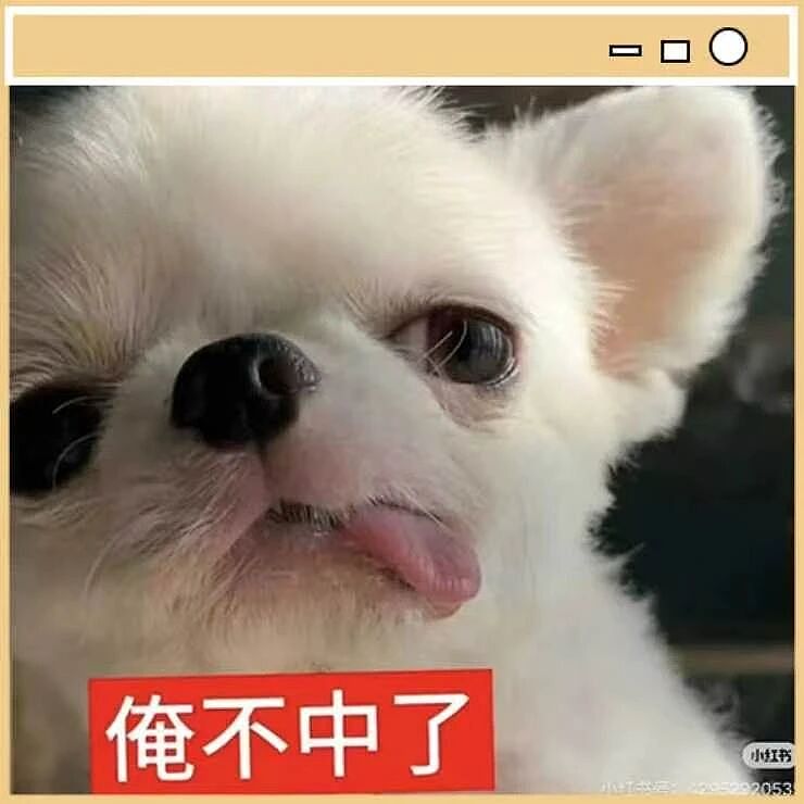 【爆笑】“迪迦和赛罗谁才是最受欢迎的奥特曼…？”哈哈哈奥特曼也有饭圈！（组图） - 92