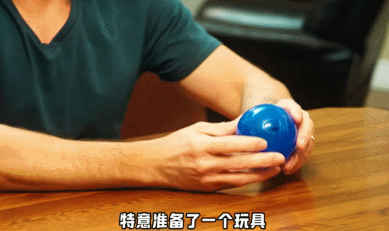 【宠物】主人给21斤大胖猫减肥,4个月后主人瘦了20斤!猫却没变化....医生都懵了:到底谁在减肥? - 11