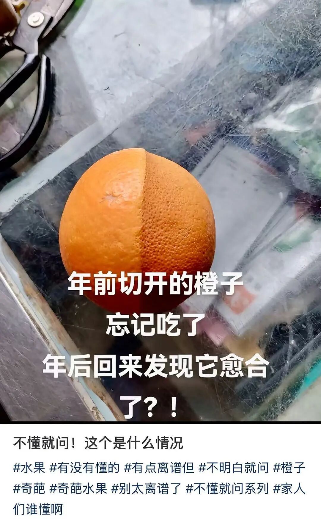 【爆笑】“迪迦和赛罗谁才是最受欢迎的奥特曼…？”哈哈哈奥特曼也有饭圈！（组图） - 54
