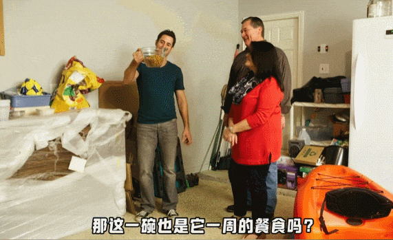 【宠物】主人给21斤大胖猫减肥,4个月后主人瘦了20斤!猫却没变化....医生都懵了:到底谁在减肥? - 8