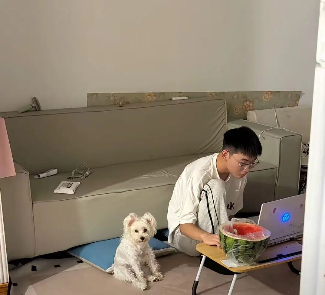 【宠物】主人发现自家狗子一到窗边,就会解锁人里人气的新坐姿,一看就知道是跟谁学的...(组图) - 6
