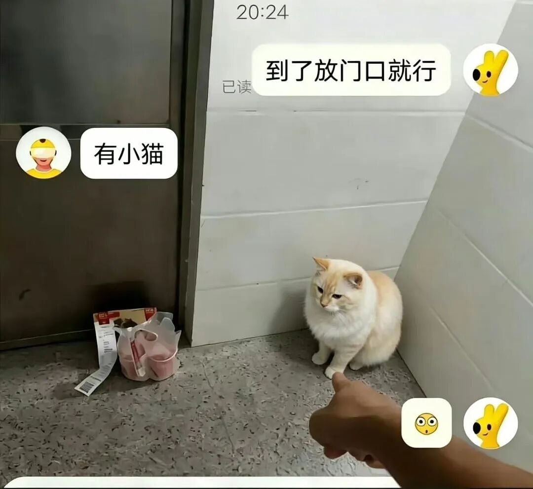 【爆笑】“用公司打印机打印简历被老板看见了…?”哈哈哈骑驴找马真的需要点心理素质!(组图) - 35