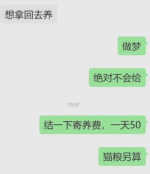 【宠物】小姐姐养了3年被前租友遗弃的猫,对方现在想拿回去,看完赎猫巨款沉默了...网友狂赞:干得漂亮! - 2