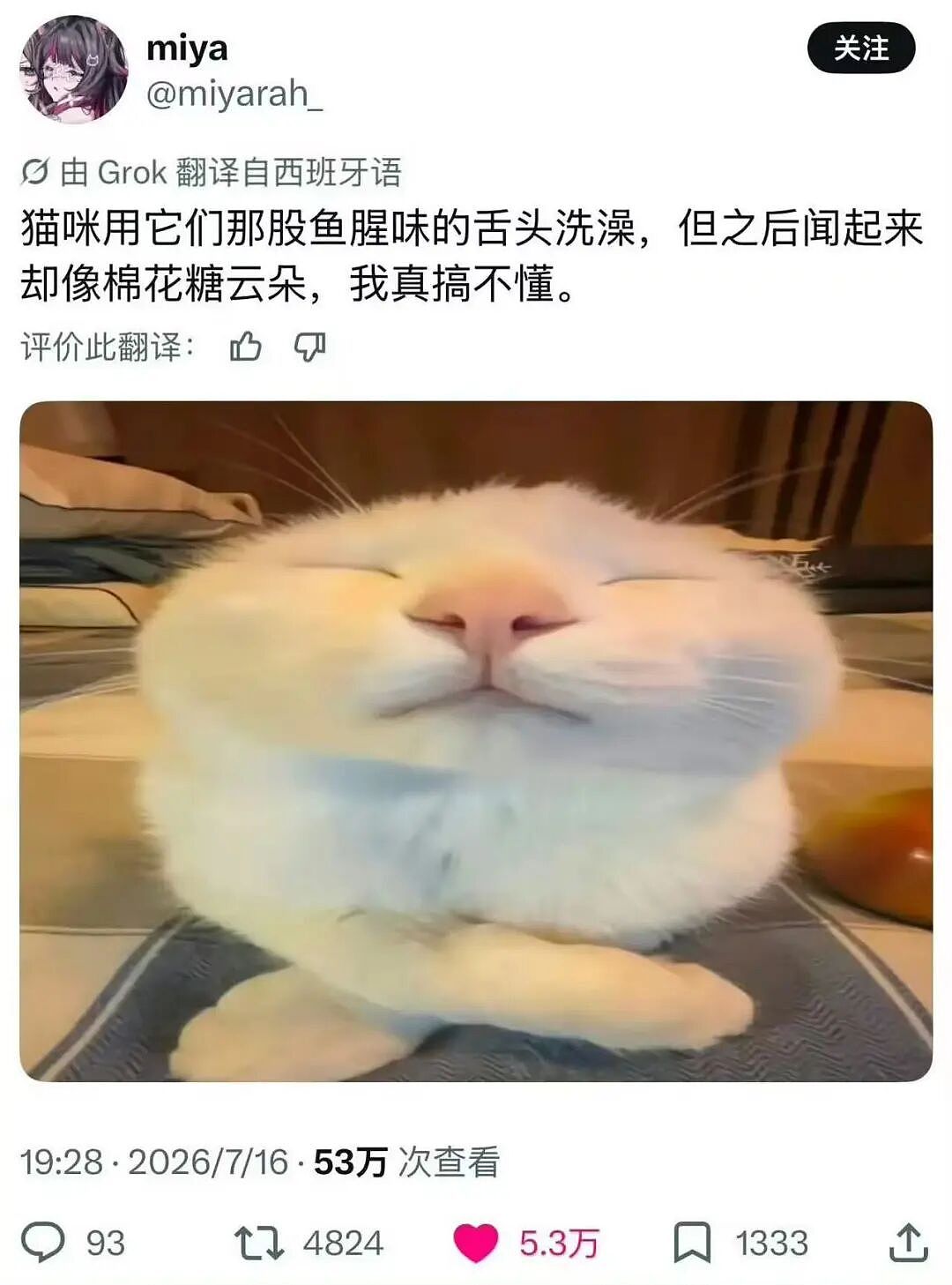 【爆笑】“用公司打印机打印简历被老板看见了…?”哈哈哈骑驴找马真的需要点心理素质!(组图) - 22