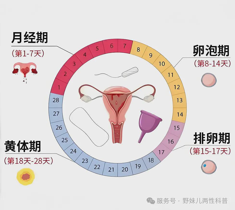 【两性】女人身体的秘密周期：哪几天最想要？ - 2