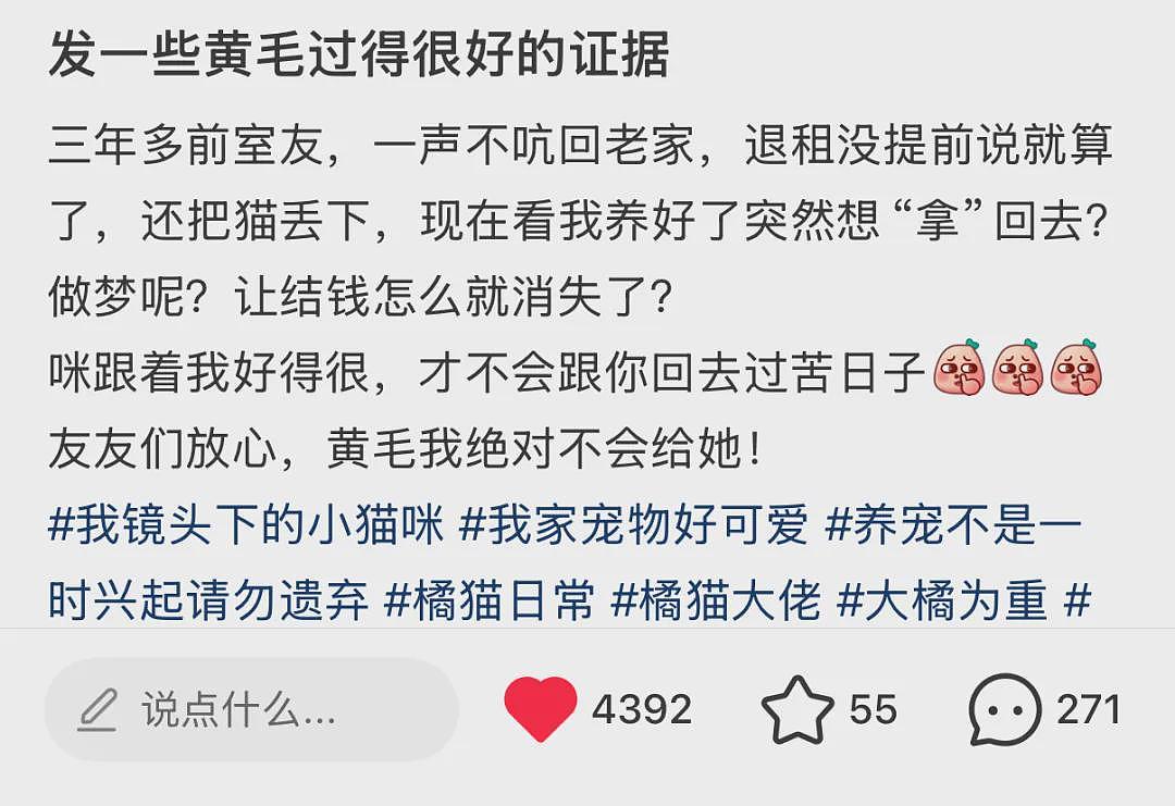 【宠物】小姐姐养了3年被前租友遗弃的猫,对方现在想拿回去,看完赎猫巨款沉默了...网友狂赞:干得漂亮! - 1