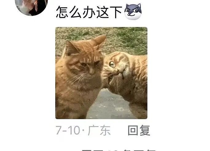 【爆笑】“用公司打印机打印简历被老板看见了…?”哈哈哈骑驴找马真的需要点心理素质!(组图) - 7