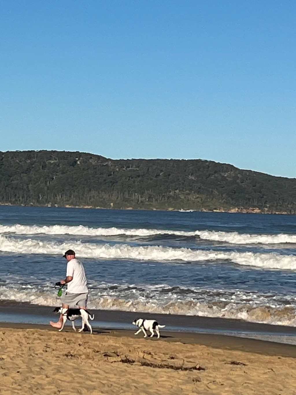 独家原创：中央海岸的Umina Beach - 6