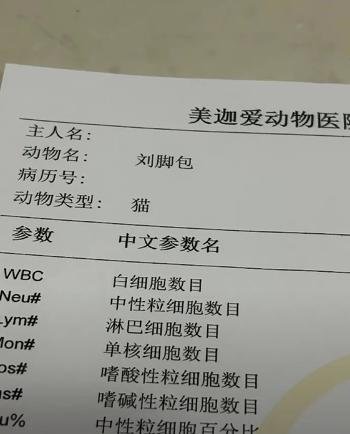 【爆笑】男朋友跑去纹身,结果我把他照片发网上..?网友笑疯:成了LV真皮人?(组图) - 66