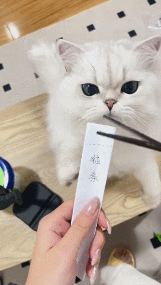 【宠物】网友第一次去这家餐馆，上菜后总觉得很眼熟，回家看到猫吃饭这一幕笑晕：老板把客人当猫喂了吗？（组图） - 6