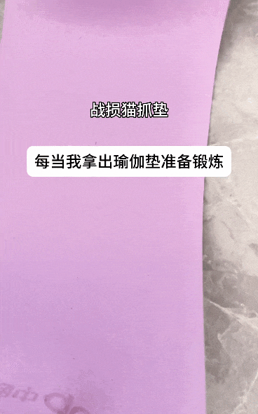 【宠物】瑜伽垫坏了，小姐姐怀疑是蟑螂咬的，眼尖网友一看图笑了：不是蟑螂，是令郎！ - 10