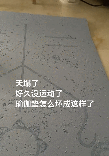 【宠物】瑜伽垫坏了，小姐姐怀疑是蟑螂咬的，眼尖网友一看图笑了：不是蟑螂，是令郎！ - 3