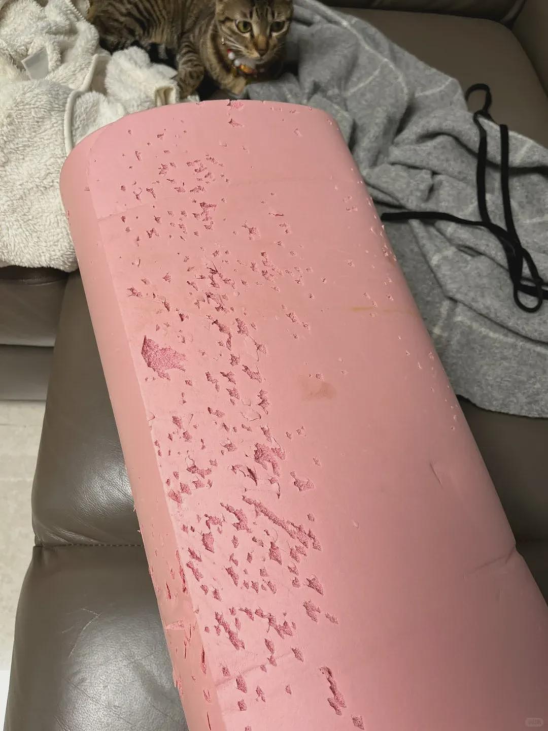 【宠物】瑜伽垫坏了，小姐姐怀疑是蟑螂咬的，眼尖网友一看图笑了：不是蟑螂，是令郎！ - 2