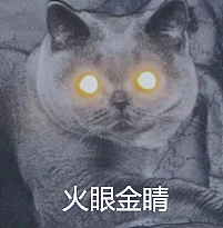 小猫做雾化不老实，便被主人强制执行，于是…在雾气里发现了少量的猫咪！（组图） - 15
