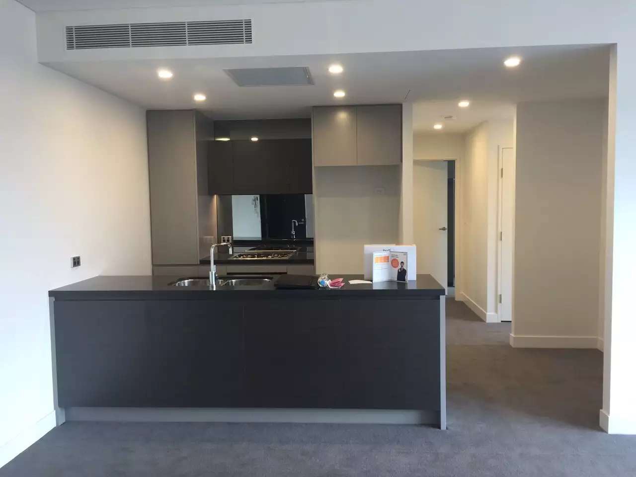 今日悉尼Zetland 全新apartment 两房两卫招租。 Zetland 全新apartment 两房两卫招租。