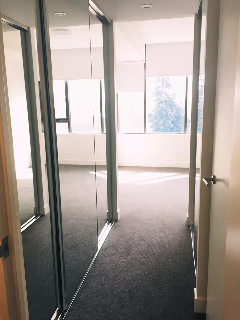 今日悉尼Zetland 全新apartment 两房两卫招租。 Zetland 全新apartment 两房两卫招租。