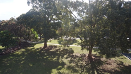 今日悉尼Riverwood 单间长租短租皆可$160/week十二月一号开始出租近火车站 Riverwood 单间长租短租皆可$160/week十二月一号开始出租近火车站