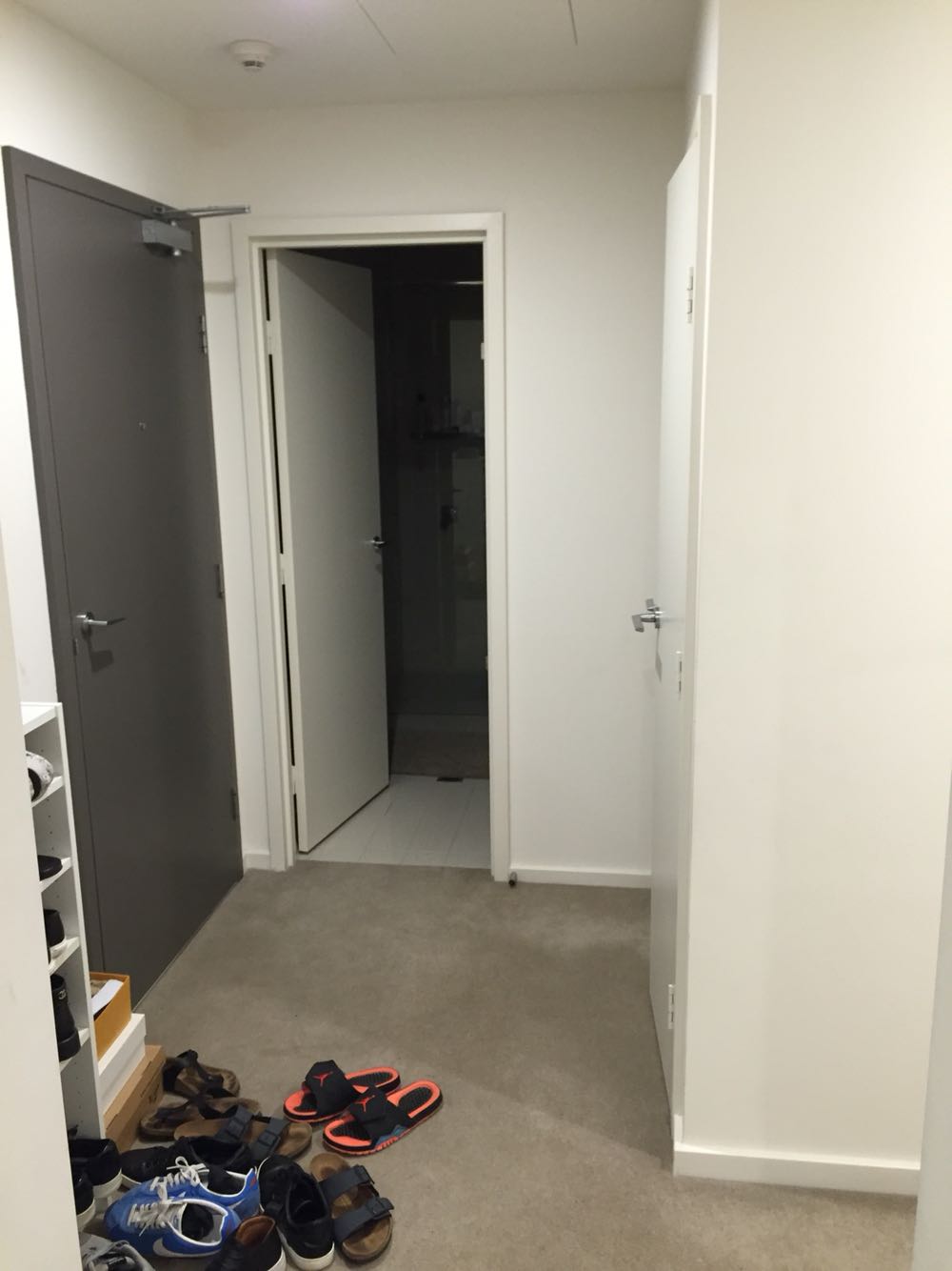 今日悉尼Zetland 豪华公寓master room 出租 Zetland 豪华公寓master room 出租
