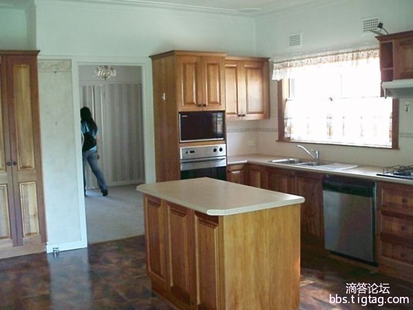 今日悉尼Hurstville 静街朝东北大房免费停车位后院可养狗(有图) Hurstville 静街朝东北大房免费停车位后院可养狗(有图)
