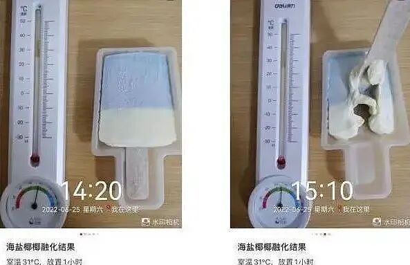 钟薛高破产拍卖:七年间蒸发99.5%,败给了自己(组图) - 5