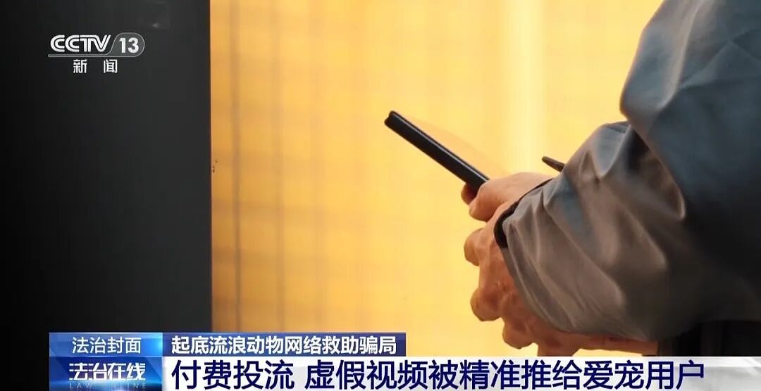 央视曝光动物救助直播骗局：低价买残疾狗卖惨摆拍，骗了250万仅3000元用在狗身上，平台投流60多万，其余大部分用于买豪车等挥霍 - 25