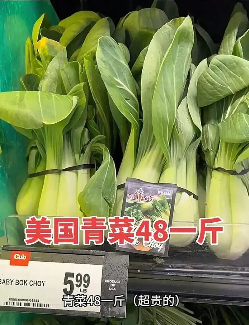 人均9.9元的中国菜市场,让老外们彻底沦陷 - 21