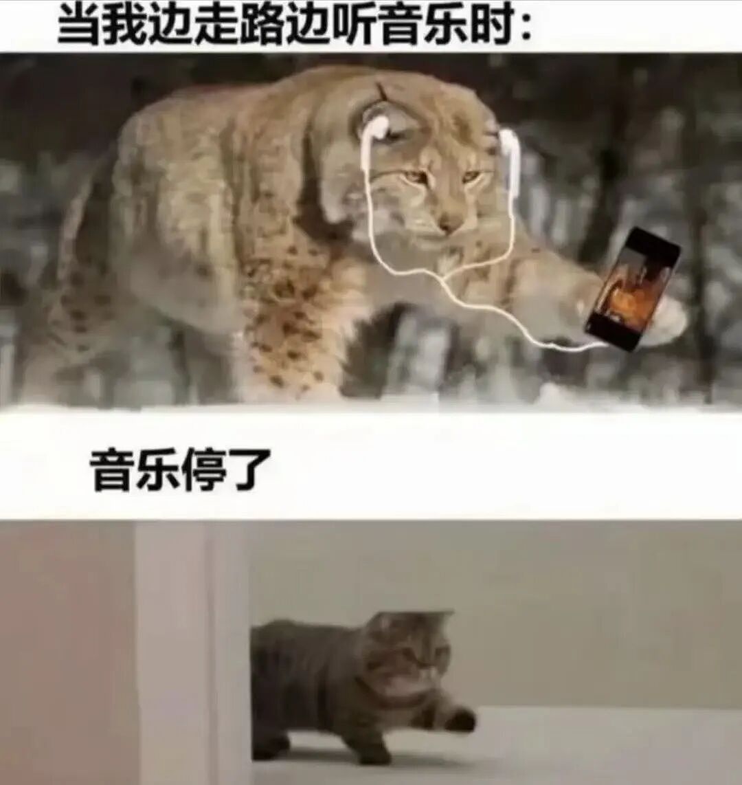 靠降噪耳机躲避社交的年轻人,处在耳朵“过劳死”的风险中(组图) - 2