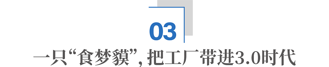 收购澳洲品牌后,东莞老板打造超级爆款!逆袭全球第一(组图) - 9