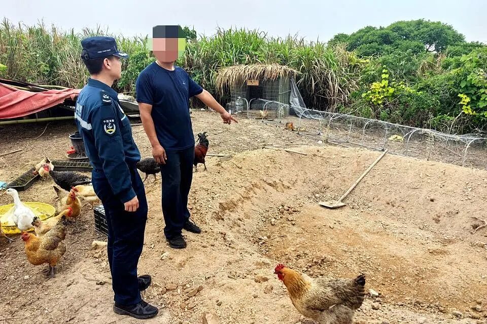 网红博主霸占无人海岛，建房、开路通电、捕鱼烹食、圈养家禽，吸引大批网友点赞、打赏，如今被海警查处（组图） - 4