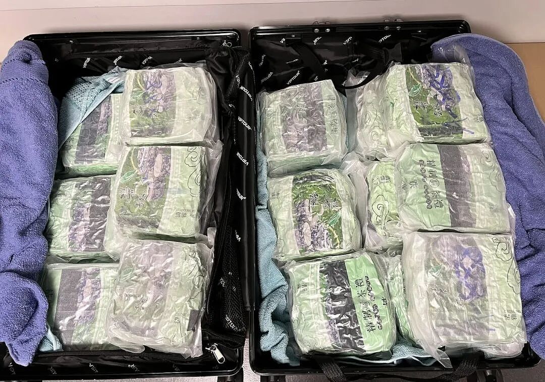 开箱瞬间全场惊呆!20岁小伙奥克兰机场被抓,带18包“绿茶”,竟值$2050万…(组图) - 3