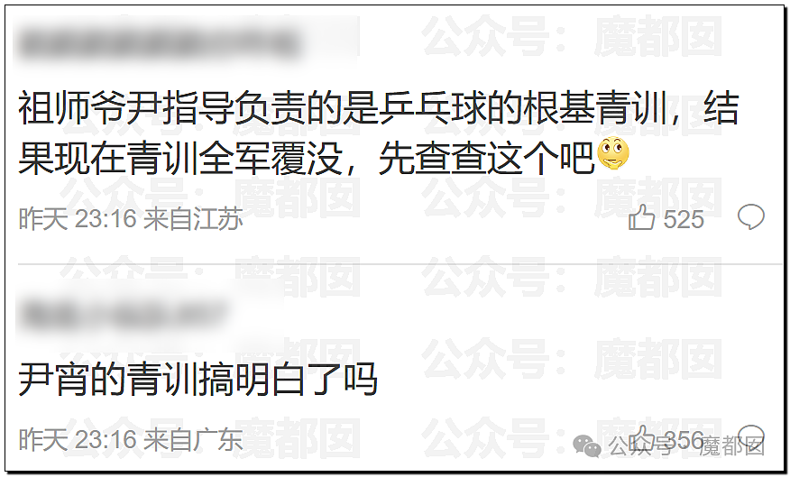 鞠婧祎税务调查结果出炉！到底是谁那么恨樊振东？脸都不让露？（组图） - 82