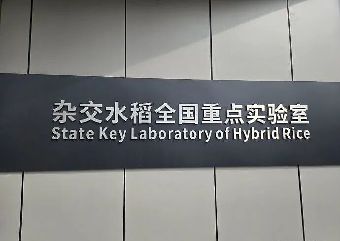 小小辣椒，何以成就千亿产业？（组图） - 7