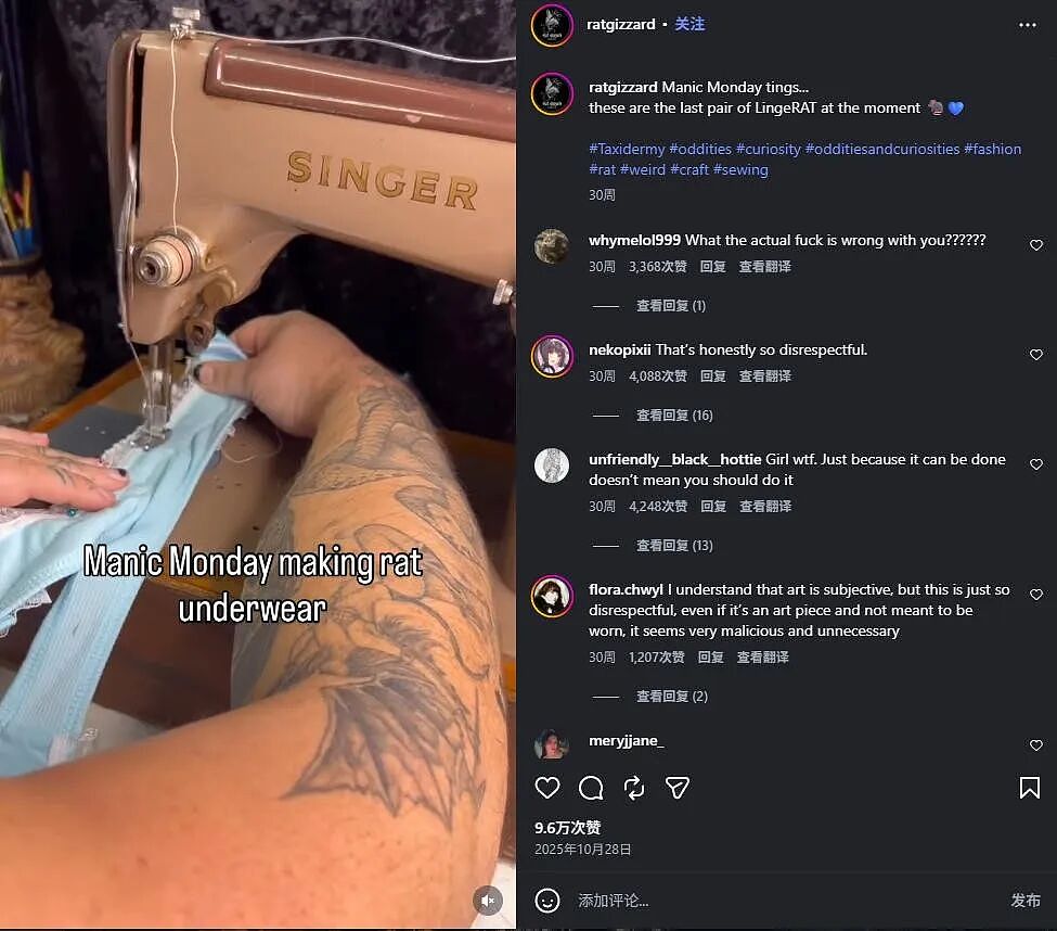 太逆天！澳洲店主将真老鼠缝到内裤上，当时尚单品？？网友：大受震撼（组图） - 3