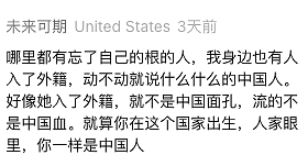 全澳炸锅！华人大姨一句“我不是中国人”引热议，拿到澳洲身份就否认自己的根？评论区吵翻（组图） - 13