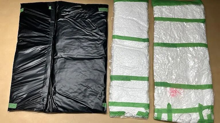 开箱瞬间全场惊呆!20岁小伙奥克兰机场被抓,带18包“绿茶”,竟值$2050万…(组图) - 8