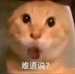中国小伙重拳怒揍新加坡争议“网红”,竟获百万网友力挺致敬!只因...(组图) - 2