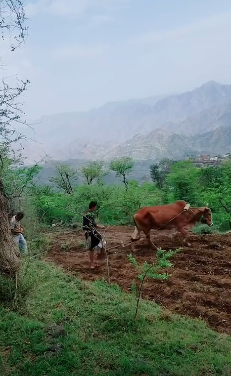 为了教老外种地,中国人操碎了心 - 8
